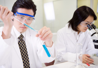 Doctors working in a Lab