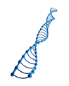 model of a dna strand