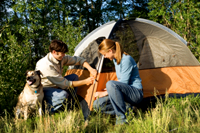 Couple with dog pitching tent at campsite