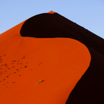 A Sand Dune in early morning sunlight near Sossusvlei in the Namib Desert in Namibia