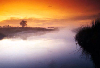 Okavango Delta Sunrise, Botswana
